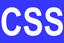 临时插入样式表 (CSS) 和 JavaScript (JS)