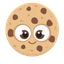FB Cookie