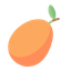 Kumquat හි පෙරදසුන
