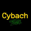 Cybach search engine 预览