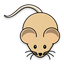 Enable Gerbil Time Tracker