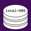 local-DNS
