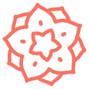 Camellia