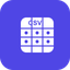CSV Viewer