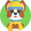 Furry Buddy