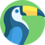 TwFollow: Export X Followers
