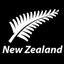 New Zealand English Dictionary 预览