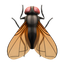 Pré-visualização de Fly on the Screen