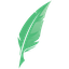 BeLikeNative Plus