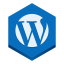Vista previa de Check Wordpress Version