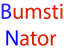 Preview of Bumstinator
