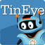 Preview of TinEye Reverse Image Search