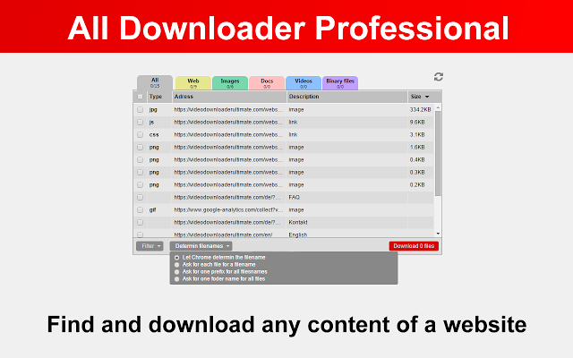 All Downloader Professional