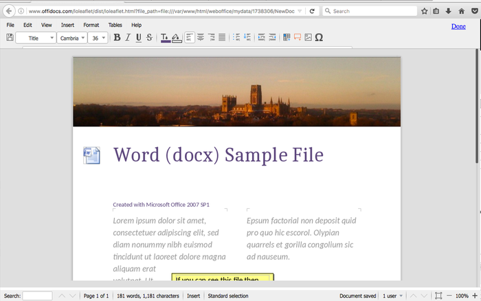 Word Document Editor