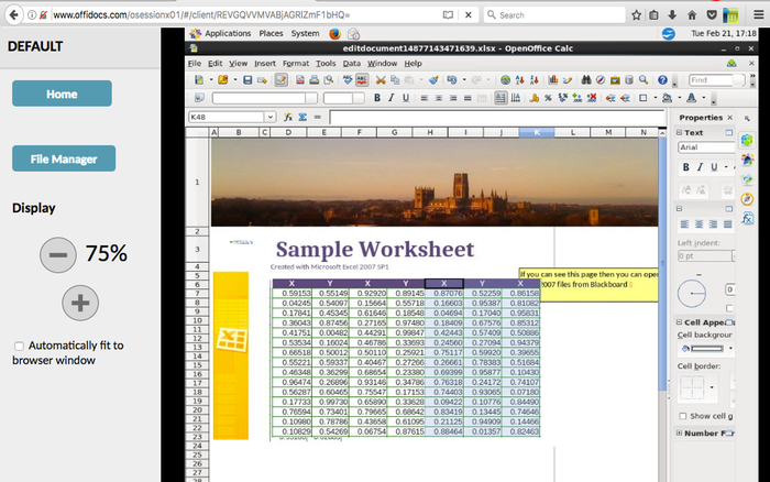 OpenOffice Excel online for xls spreadsheets