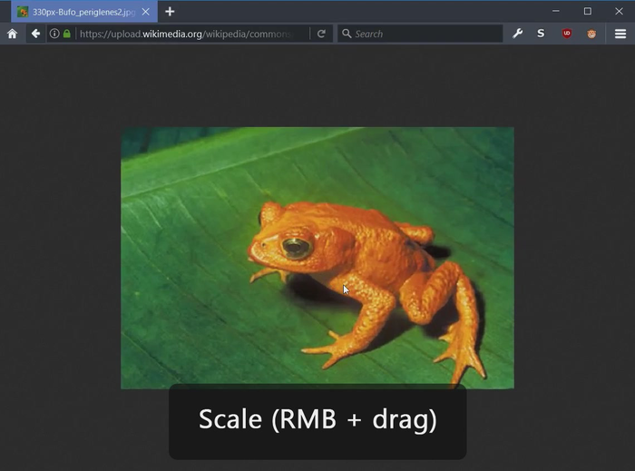 Image Zoomer