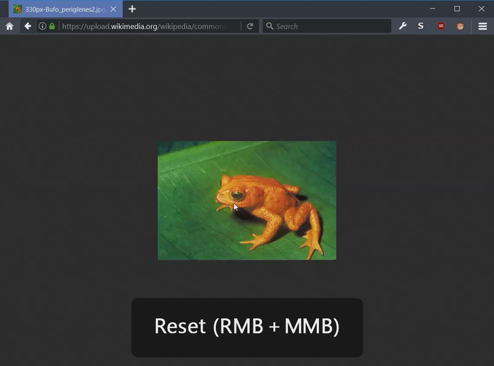 Image Zoomer