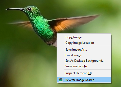 Reverse Image Search