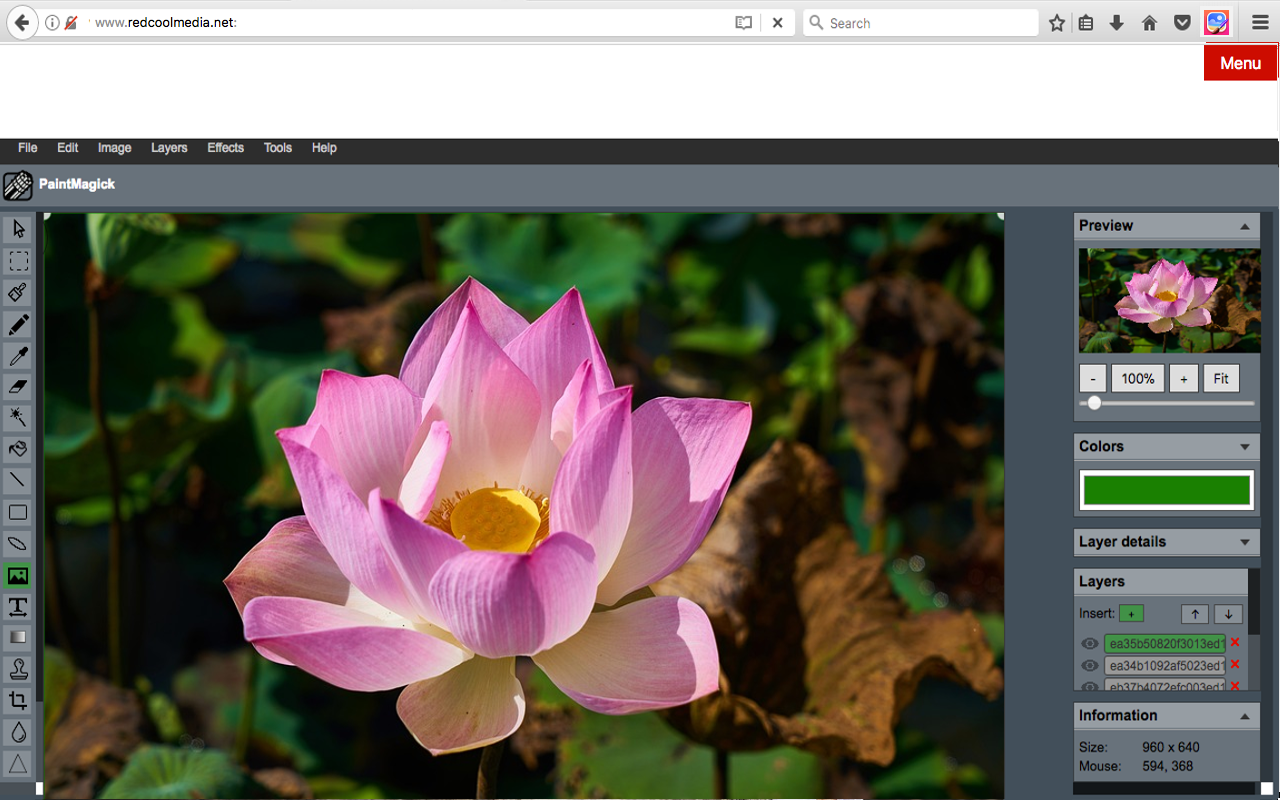 Image editor PaintMagick for photos