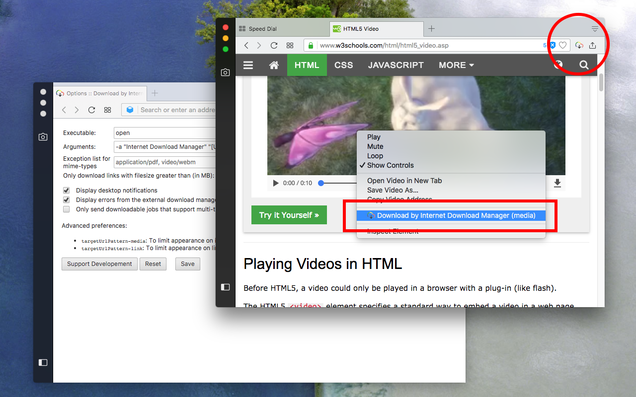 Internet download manager for tor browser gydra как в тор браузере скачать видео гидра