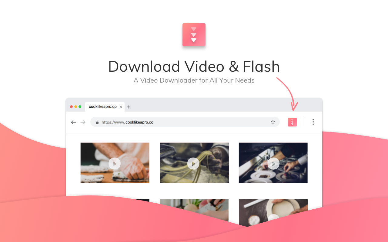 Download Video and Flash image