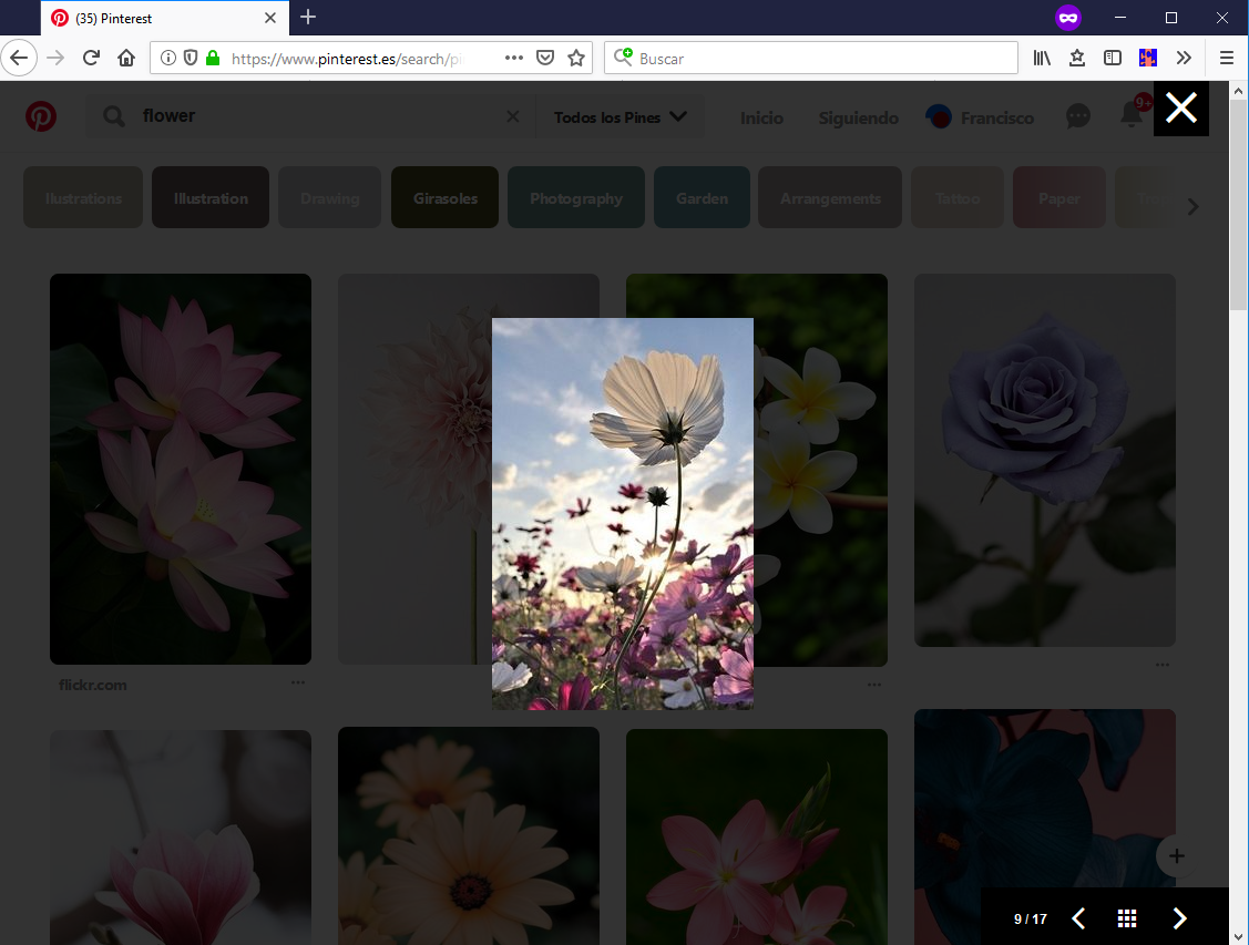 Fast image viewer of images loaded in a page
