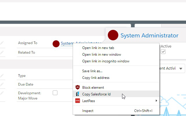 Salesforce Id CopyPasteGo