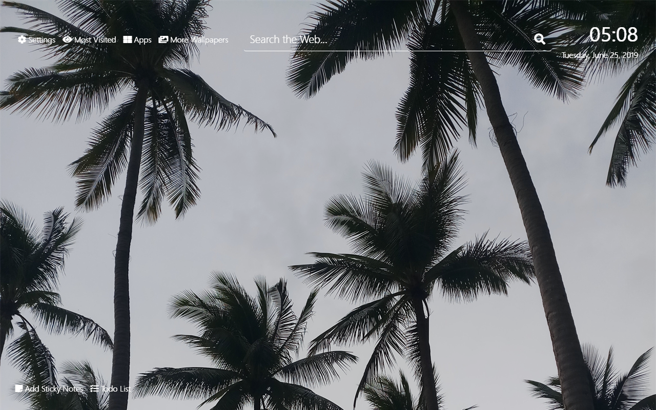 Palm Trees Hình nền HD Chủ đề tab mới - Nhận tiện ích mở rộng này cho ?  Firefox (vi)