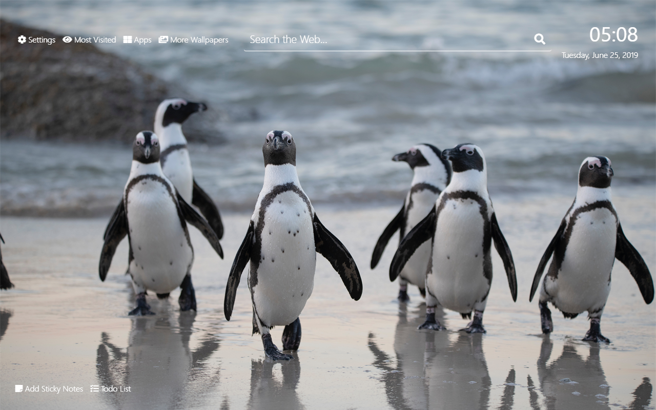 Download Penguin Wallpaper