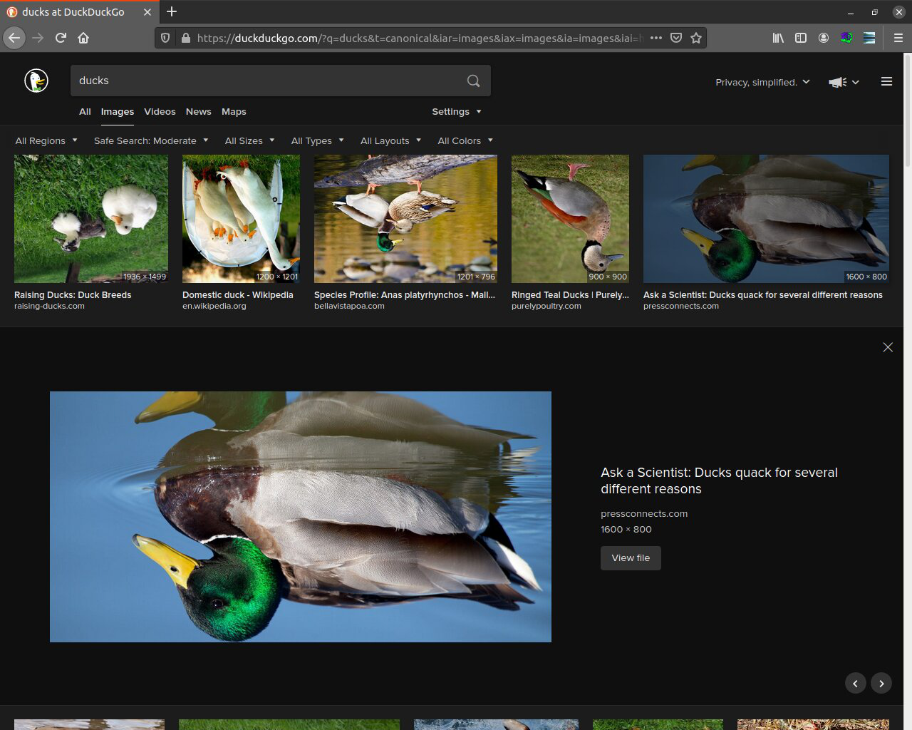 Pepega Catch! – Get this Extension for 🦊 Firefox Android (en-US)