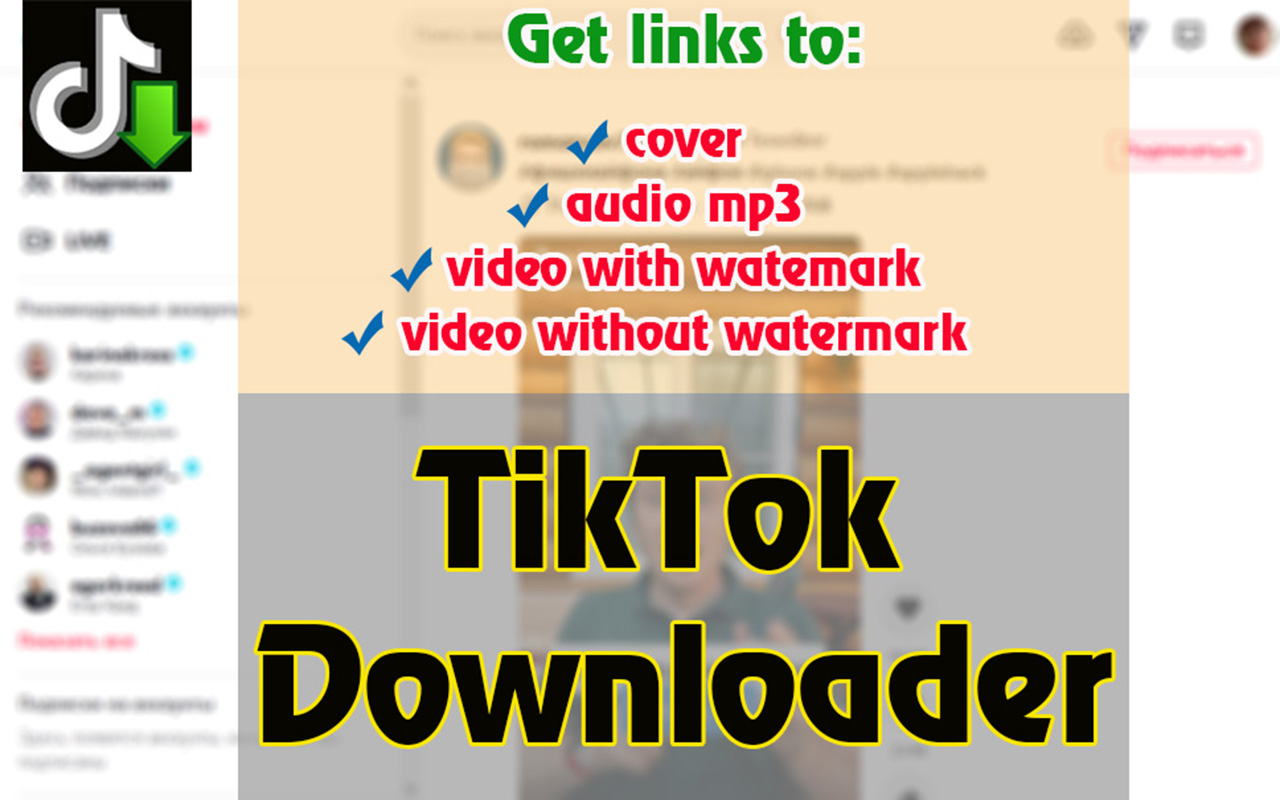 Tiktok downloader