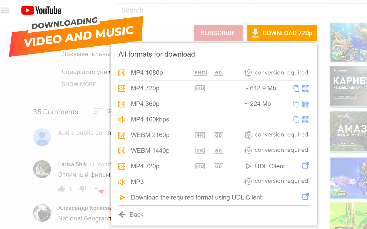 YouTube Downloader (UDL Helper)