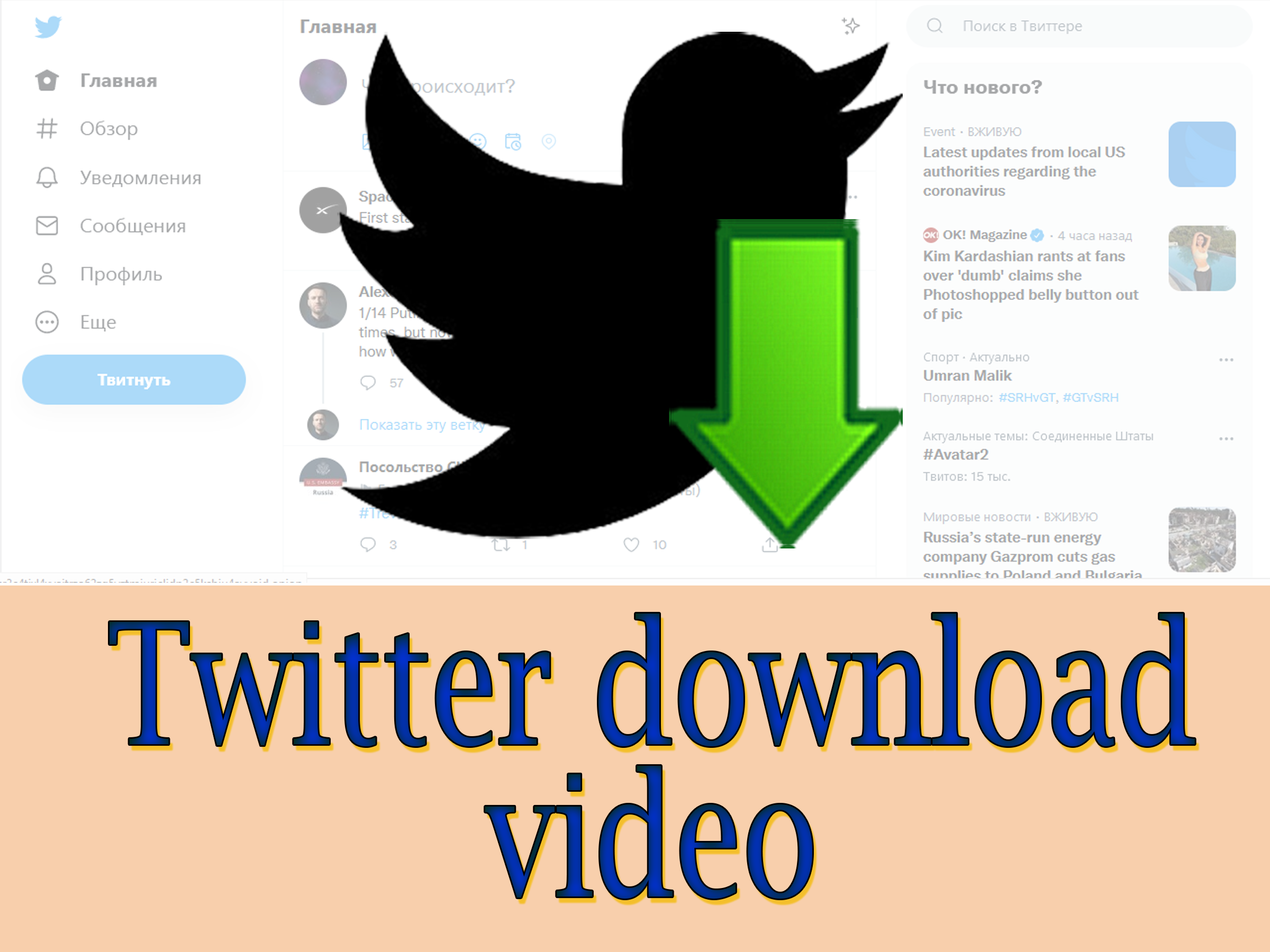 Twitter download video