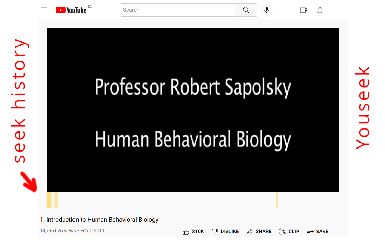 Youseek - Youtube Seek History Manager