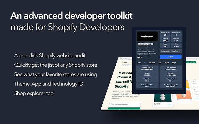 Shopify Website Audit