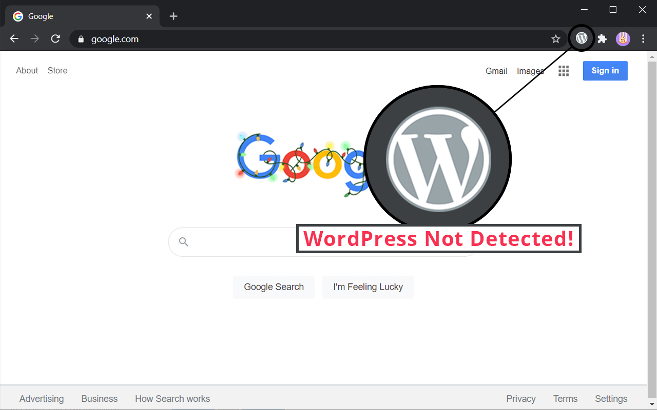 WordPress Detector