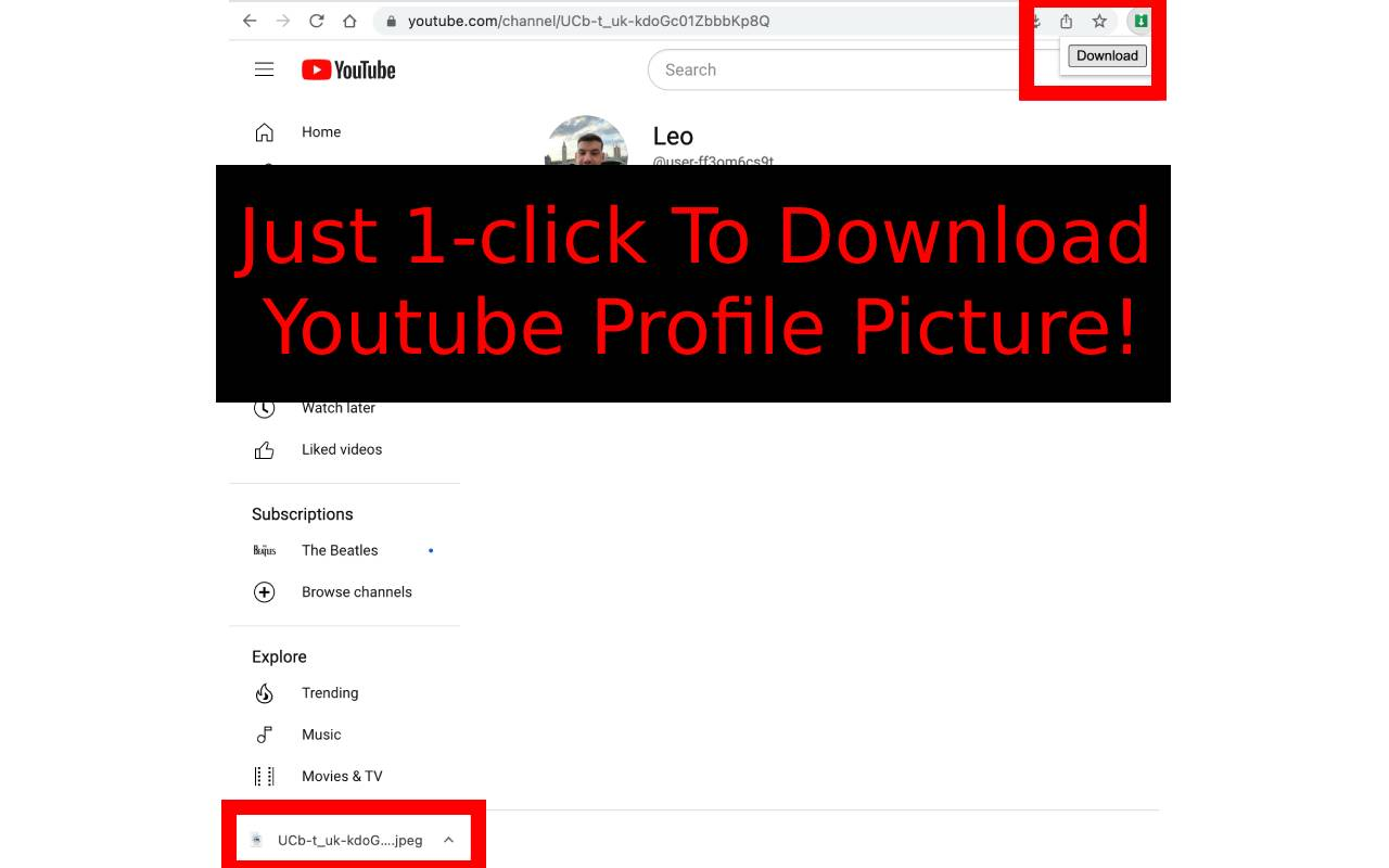 Youtube™ Profile Picture Downloader