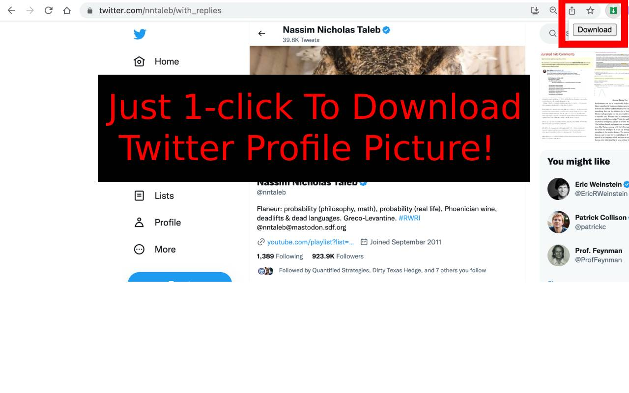 Twitter™ Profile Picture Downloader