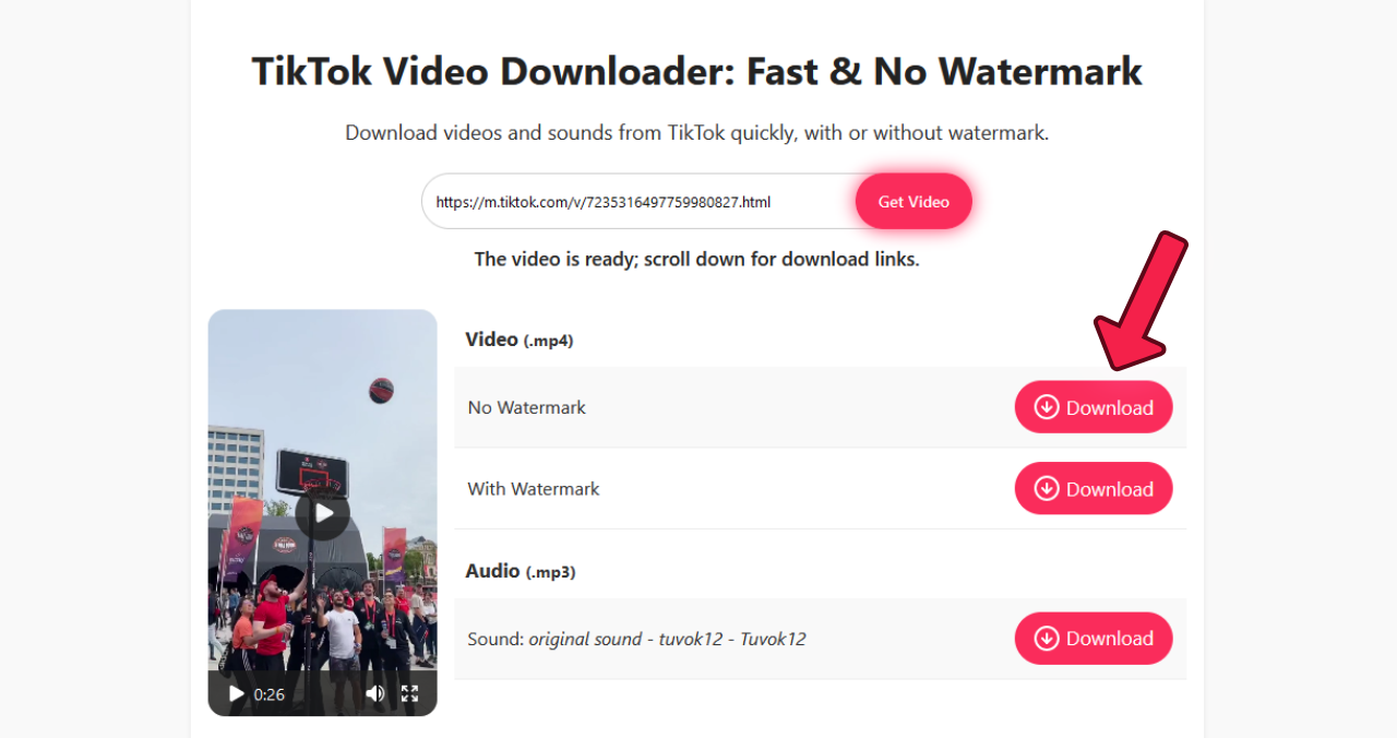 TikVD - TikTok Video Downloader (No Watermark)