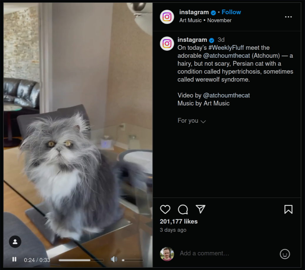 Video Control for Instagram