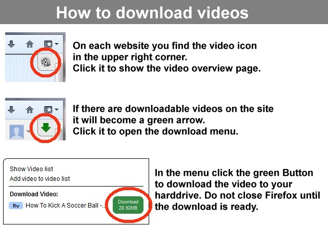 Video Downloader professional