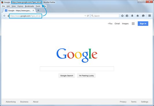 The Google homepage showing that the URL was added to the title.