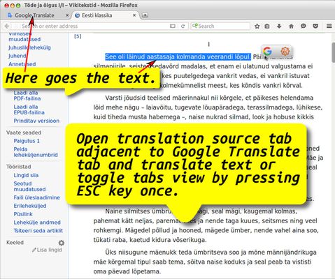 An example of working together with translation source and result pages opened in the same window.