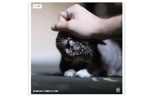 The Download GIF Icon will appear whenever you will move your mouse over the GIF image.