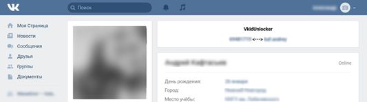 VkIdUnlocker adds ID info to user profile page
