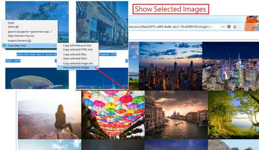 Show selected images.