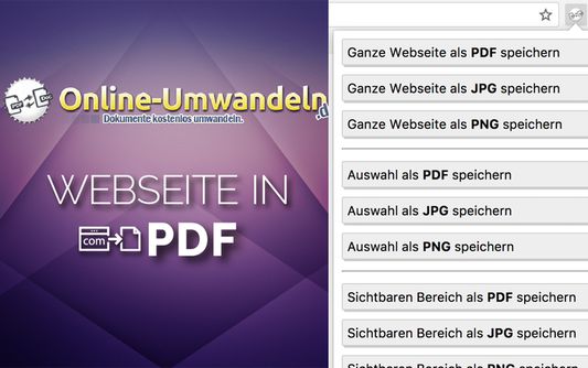 Webseite in PDF umwandeln - Übersicht Menü und Funktionen