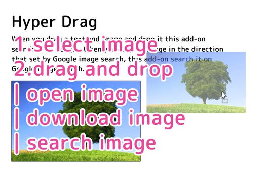 When drag and drop the image, open the image, save it or searche for images on google.