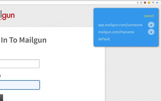 Multiple password profiles can be saved for each website.