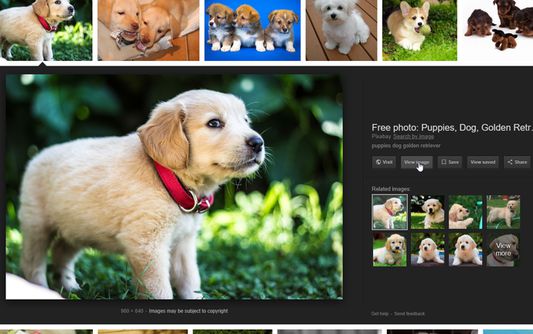 "View Image" and "Search by Image" buttons re-added to google image search.